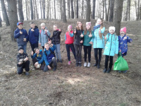 Экскурсия «Лес и мы»