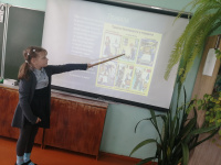 Викторина «Много правил есть на свете, их должны запомнить дети»