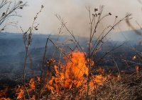 В Клинцовском районе проходит профилактический месячник «Сухая трава»