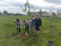 Акция "Сад памяти"
