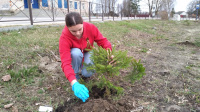 Акция  «Сад Памяти»