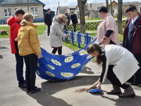 «Чистый двор»