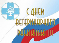 С Днём ветеринарного работника!
