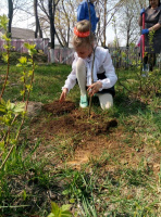 Субботник «Зелёная Россия»