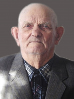 Отчизны славные сыны