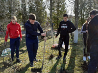 Всероссийская акция «Живи, лес!»
