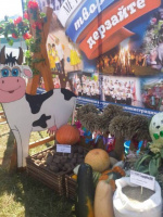 «Свенская ярмарка – 2019»