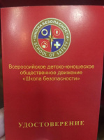 Итоги работы ВДЮОД «Школа безопасности» за 2021 год