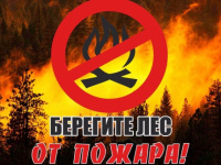 В лесах Брянской области введен особый противопожарный режим