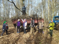 Акция «Чистое село»