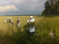 Летние обряды и традиции русской деревни