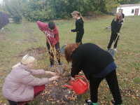 ЗЕЛЁНАЯ   РОССИЯ