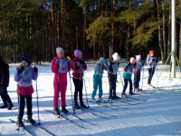 Лыжные гонки