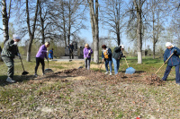 Всероссийский субботник.