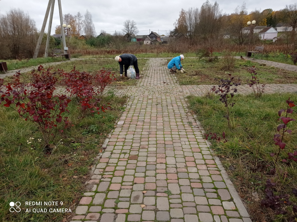 1698240105986.jpg 1698240105986.jpg